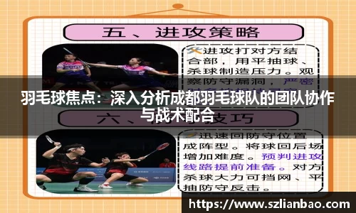 羽毛球焦点：深入分析成都羽毛球队的团队协作与战术配合